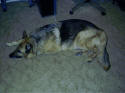 Don't wake me up, I'm sleeping!