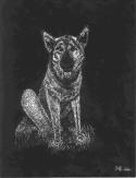 Neat scratchboard.