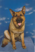 Professional photo a few months after arrival to the U.S. - 1997